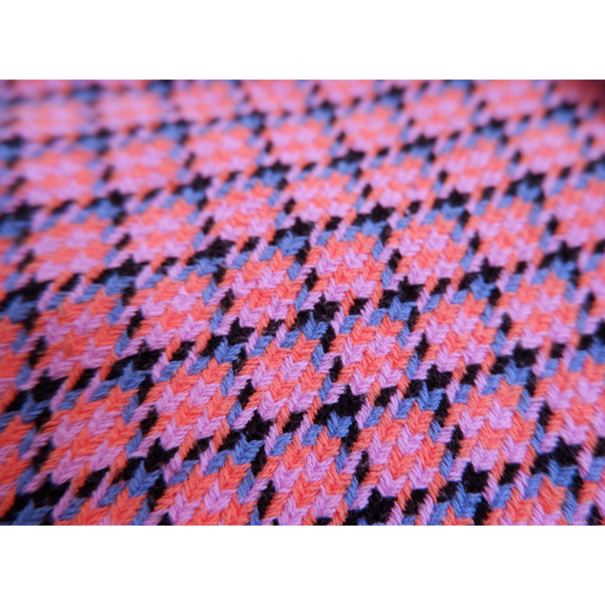 Roze geruite broek CKS